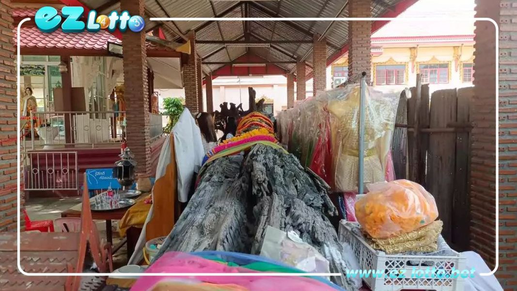 ส่องเลขเด็ด ปริศนาคำ "ต้นตะเคียนแม่ศรีมณีทอง" ลุ้นรวยงวดสุดท้าย ปี 2565