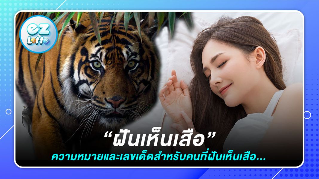 ความหมาย 'ทำนายฝันว่าเห็นเสือ' และ 'เลขเด็ด'