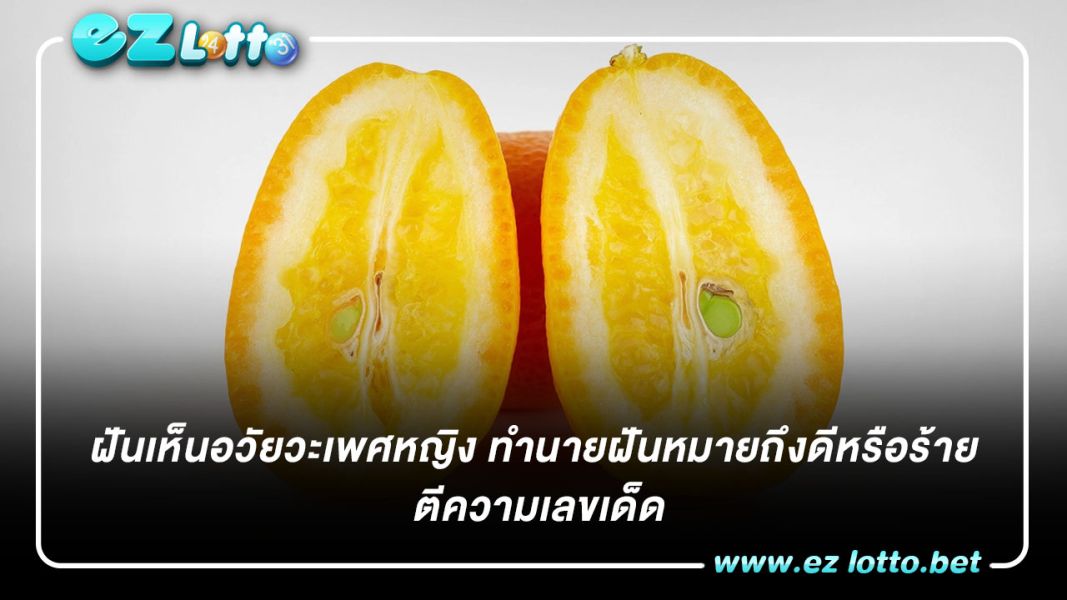 ฝันเห็นอวัยวะเพศหญิง ทำนายฝันหมายถึงดีหรือร้าย ตีความเลขเด็ด