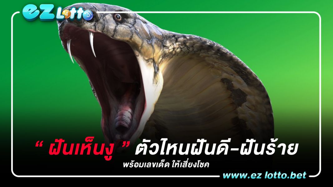 ฝันเห็นงู ตัวไหนเป็นฝันดี-ร้าย พร้อมเลขเด็ด ให้เสี่ยงโชค
