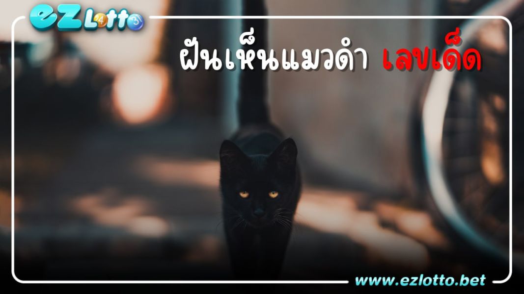 ฝันเห็นแมวดำ เลขเด็ด
