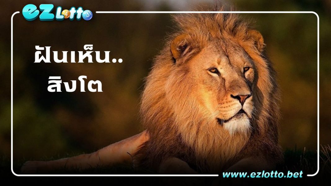 ทำนายฝัน ฝันเห็นสิงโตตัวใหญ่ สิงโตหลายตัว