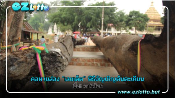 เลขเด็ด | ที่คอหวยสายส่อง ต้องส่องพิธีอัญเชิญต้นตะเคียน!