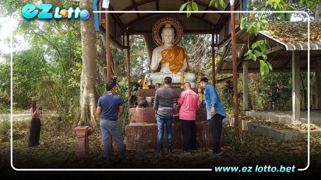 คอหวยแห่ส่อง เลขเด็ดงวดนี้ ต้นฮ่างโบราณ อายุราว ๆ กว่า 300 ปี