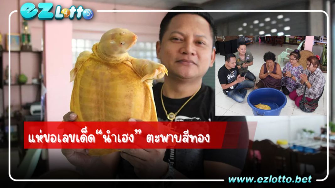 แห่ไหว้ขอหวย “นำเฮง” ตะพาบสีทอง