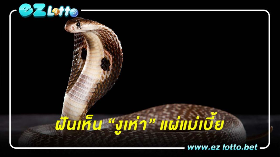 ฝันเห็น งูเห่า แผ่แม่เบี้ย แต่ไม่กัดไม่ฉก มีความหมายอย่างไร