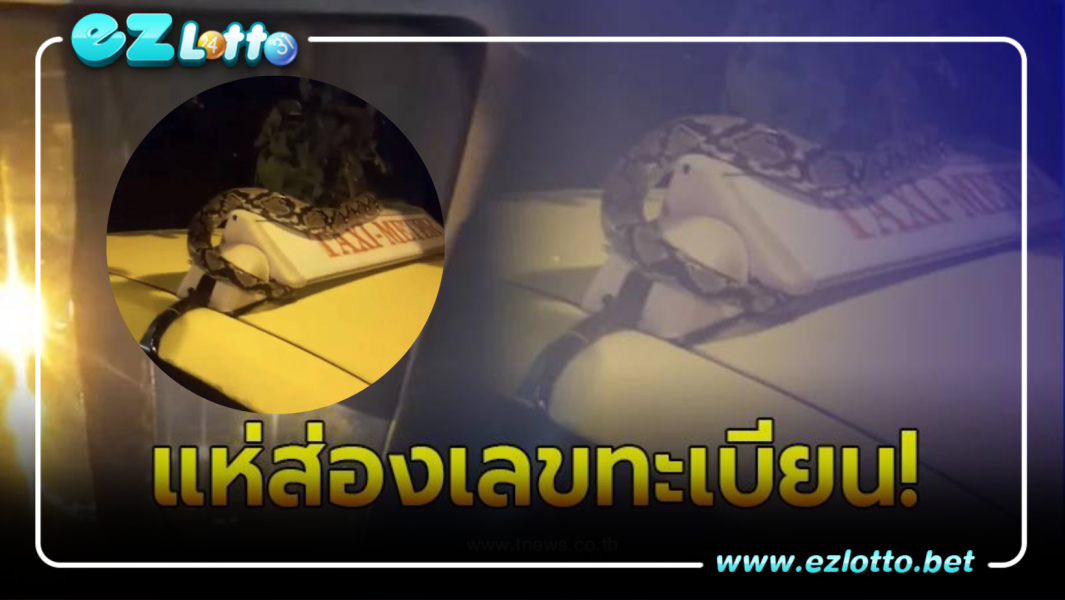 แท็กซี่สะดุ้ง งูเหลือมขึ้นรถเสี่ยงดวงงวด 1/4/66