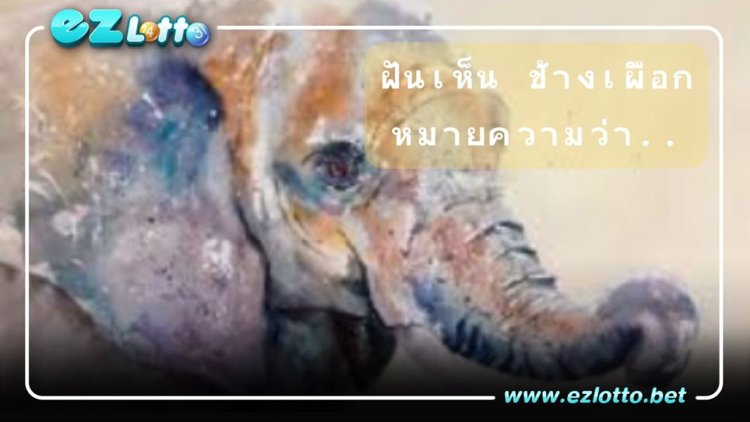 ทำนายความหมาย ฝันเห็นช้างเผือก พร้อมเลขนำโชค