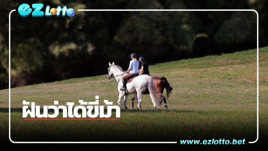ทำนายฝัน “ฝันว่าขี่ม้า” พร้อมเลขเด็ด