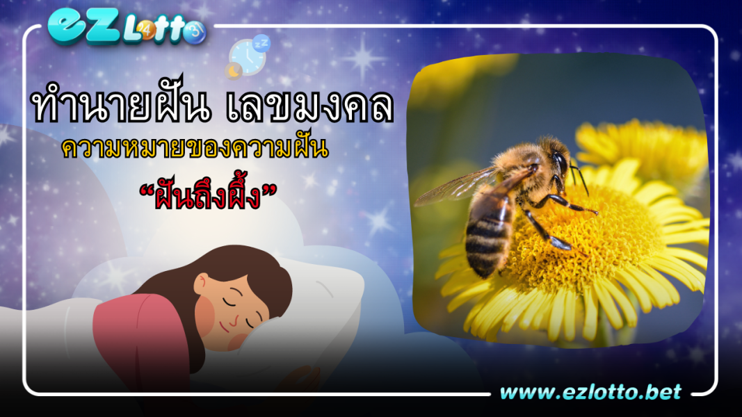 ทำนายฝัน ฝันเห็นผึ้ง ความหมายเลขเด็ด