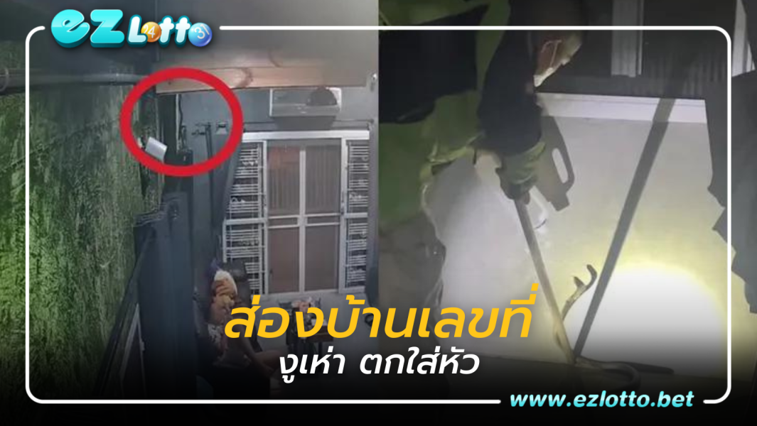 ส่องบ้านเลขที่ งูเห่าตกใส่หัว