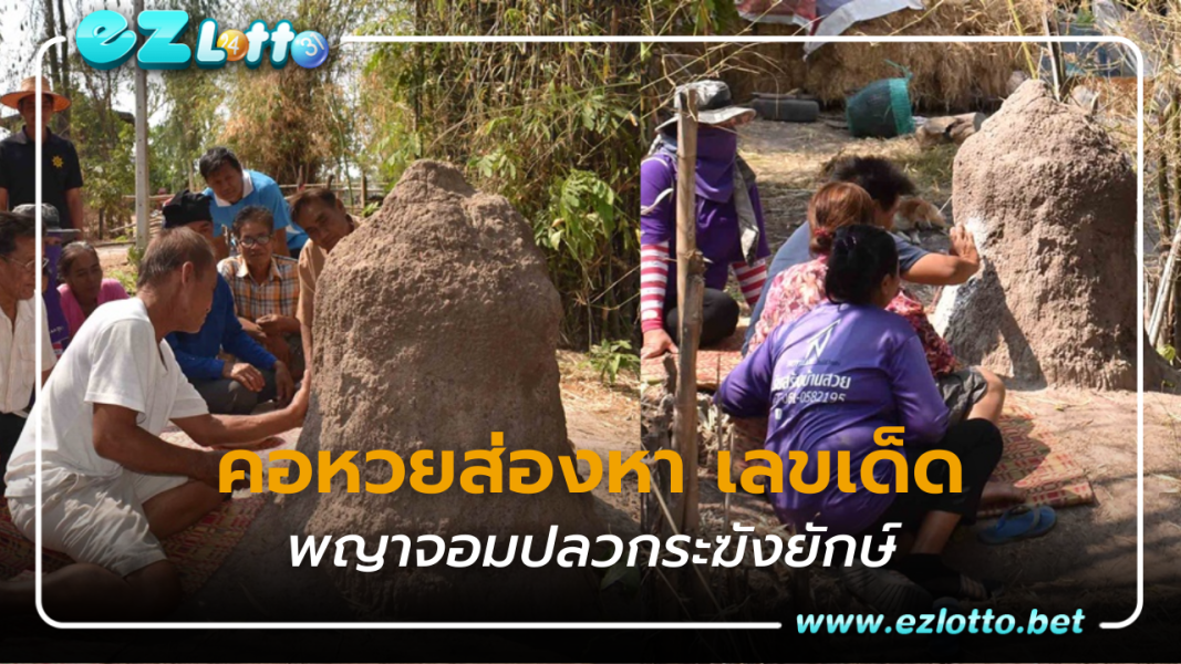 คอหวยส่องหา เลขเด็ด “พญาจอมปลวกระฆังยักษ์”