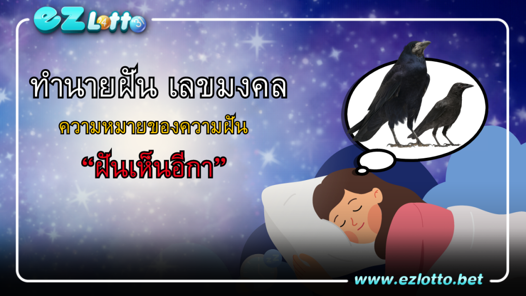 ทำนายฝัน ฝันเห็นอีกา มีความหมายว่าอย่างไร พร้อมเลขเด็ด