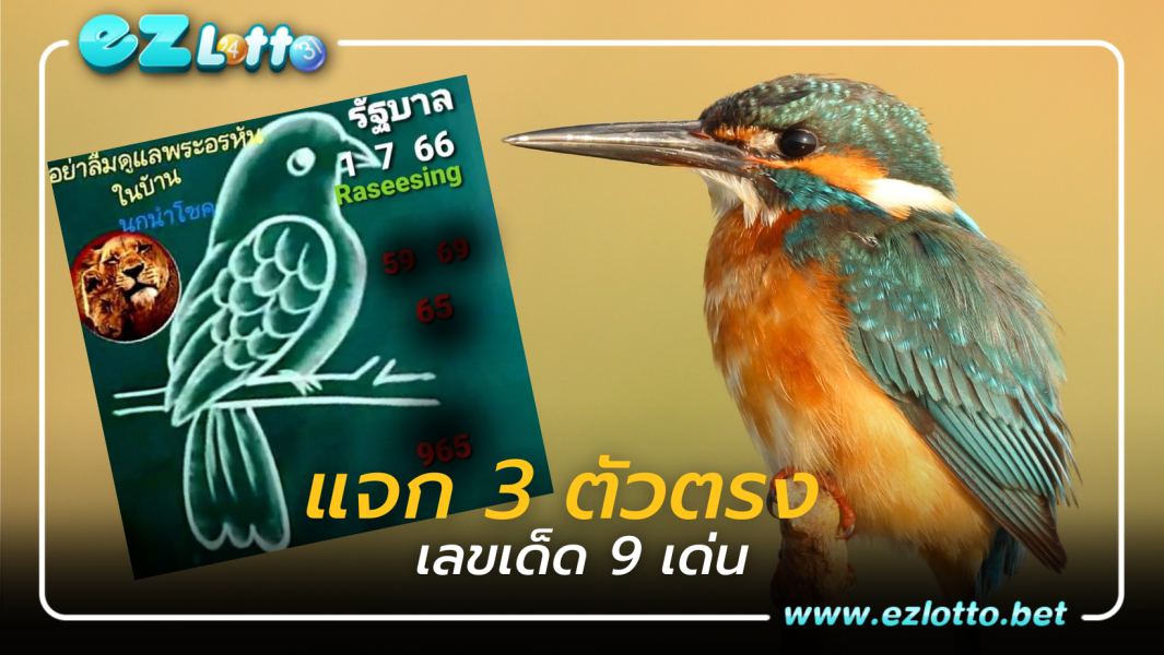 หวยงวดนี้ 1ก.ค.66 แนวทางเลขเด็ด 9 นำทัพ นกนำโชค