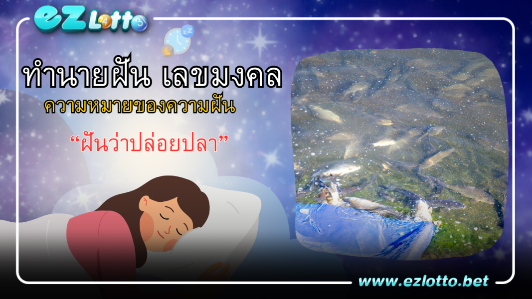 ฝันว่าปล่อยปลา ปล่อยปลาหลายตัว มีคำทำนายฝันว่าอย่างไร พร้อมเลขเด็ดให้โชค