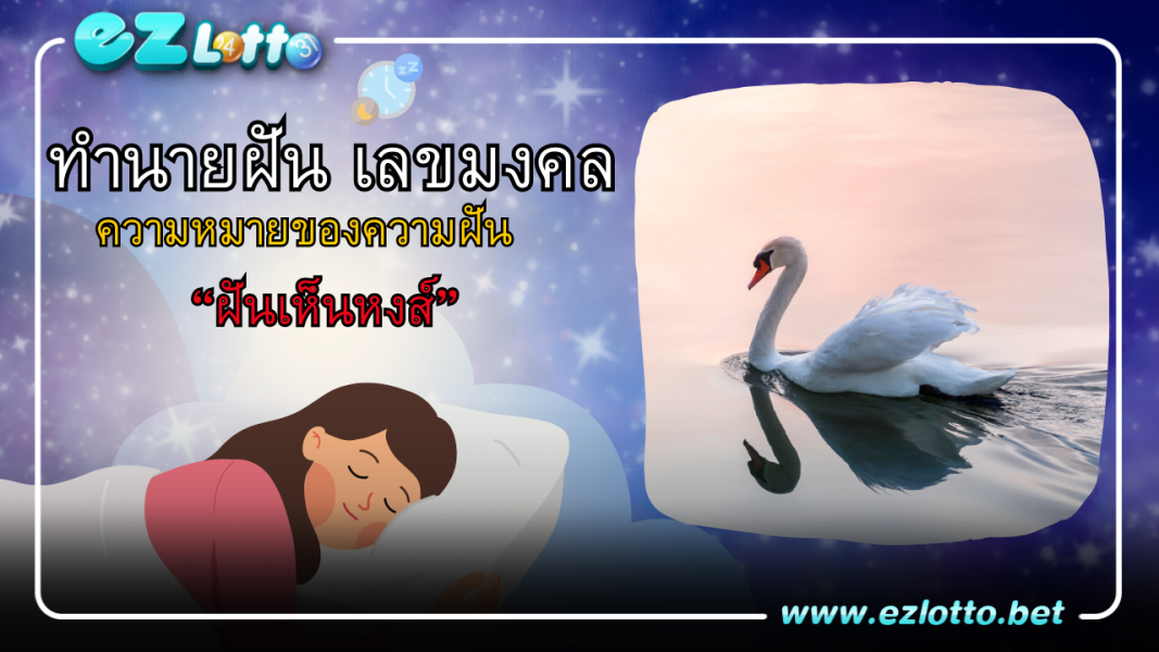 “ฝันเห็นหงส์” มีความหมายว่าอย่างไร? พร้อม เลขเด็ด ให้โชค