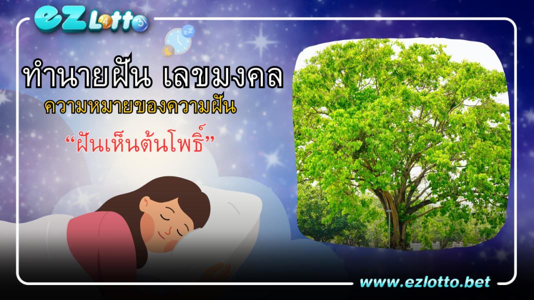 ฝันเห็นต้นโพธิ์ คำทำนาย พร้อมเลขเด็ดนำโชค