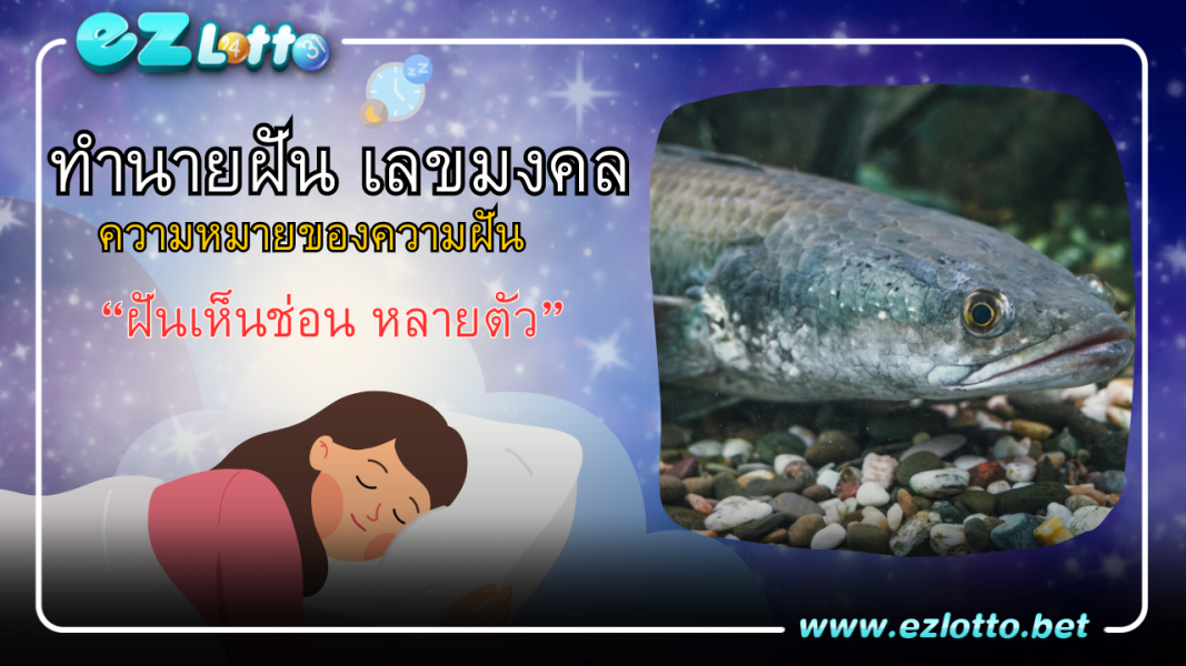 เปิดคำทำนายหาก ฝันเห็นปลาช่อน หลายตัว จะดีหรือร้าย พร้อมเลขเด็ด