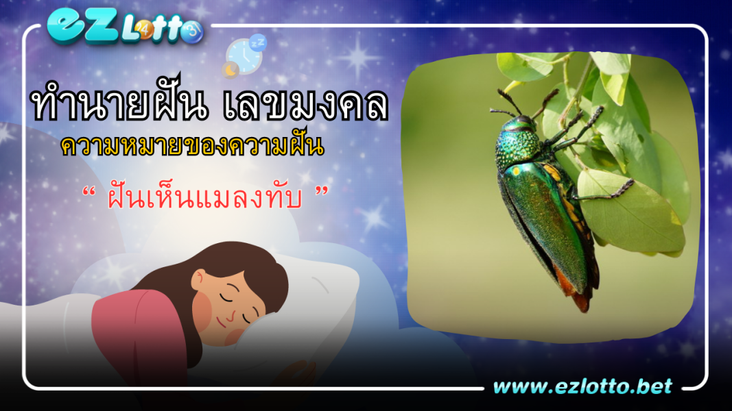 ฝันเห็นแมลงทับ เลขเด็ดพร้อมความหมาย