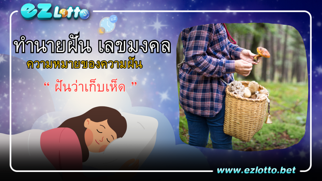 ฝันว่าเก็บเห็ด เปิดคำทำนาย พร้อมเลขเด็ด