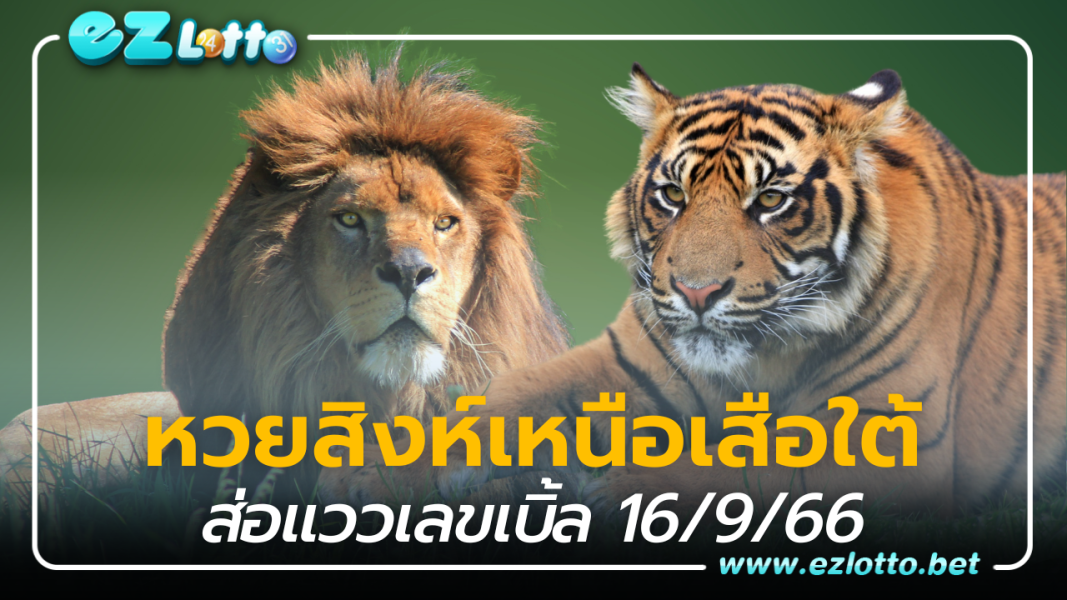 หวยสิงห์เหนือเสือใต้ ส่อแววเลข เบิ้ล เลขเด็ด16 9 66