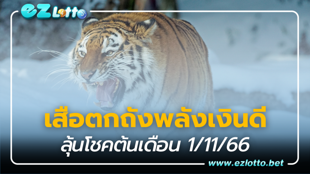 เลขเด็ด ‘เสือตกถังพลังเงินดี’ หวยงวดนี้ 1 พ.ย. 66 ลุ้นโชคต้นเดือน