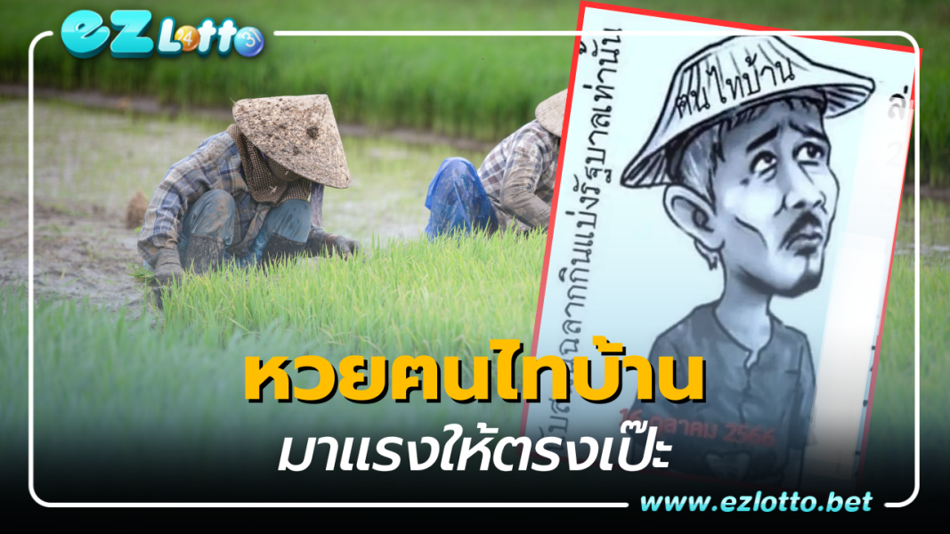 เลขเด็ด 3 ตัวบน 2 ตัวล่าง หวยฅนไทบ้าน 16 10 66