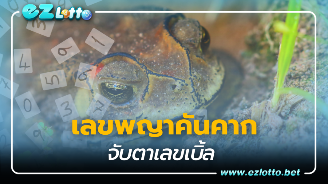 จับตาเลขเบิ้ล งวดนี้เด่น 7 เลขเด็ด พญาคันคาก งวด 16 พ.ย. 66